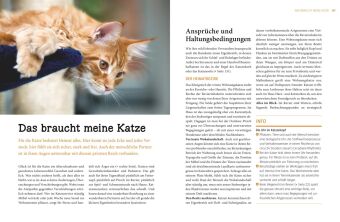 Katzen - Das große Praxishandbuch
