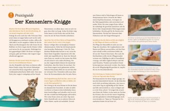 Katzen - Das große Praxishandbuch