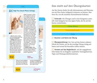 Katzen-Clicker-Box