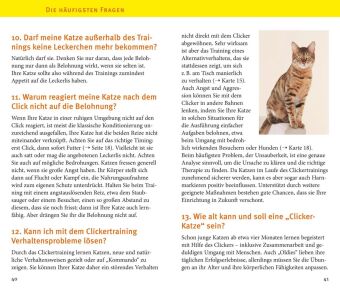 Katzen-Clicker-Box