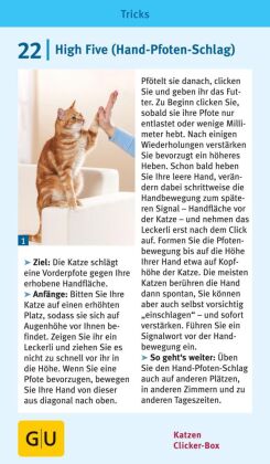 Katzen-Clicker-Box