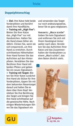 Katzen-Clicker-Box