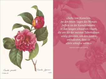 Die Blumen der Frauen