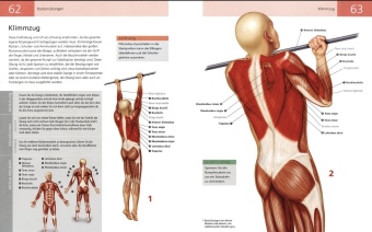 Das Anatomie-Buch der Fitness