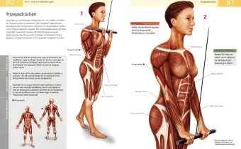 Das Anatomie-Buch der Fitness
