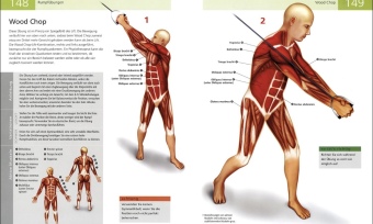 Das Anatomie-Buch der Fitness