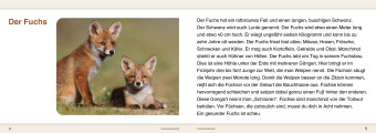 Ich kenne Waldtiere / Haus- und Hoftiere / Insekten und Spinnen - 3 Arbeitshefte im Set für die 2. bis 4. Klasse
