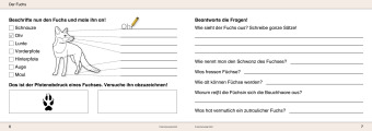 Ich kenne Waldtiere / Haus- und Hoftiere / Insekten und Spinnen - 3 Arbeitshefte im Set für die 2. bis 4. Klasse