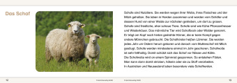 Ich kenne Waldtiere / Haus- und Hoftiere / Insekten und Spinnen - 3 Arbeitshefte im Set für die 2. bis 4. Klasse