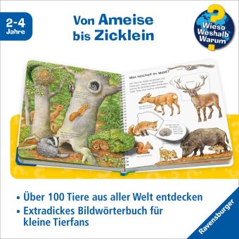 Wieso? Weshalb? Warum? Sonderband - Mein junior-Lexikon: Tiere