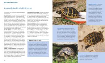 Landschildkröten