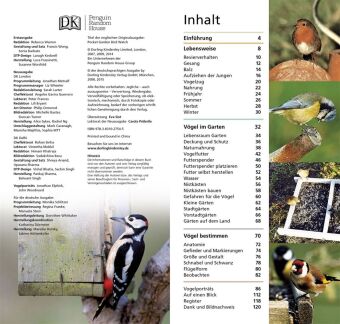 Gartenvögel beobachten und bestimmen