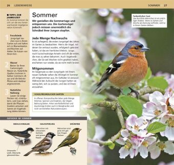 Gartenvögel beobachten und bestimmen