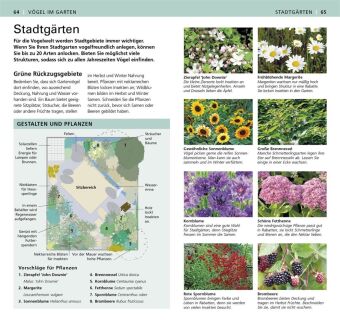 Gartenvögel beobachten und bestimmen