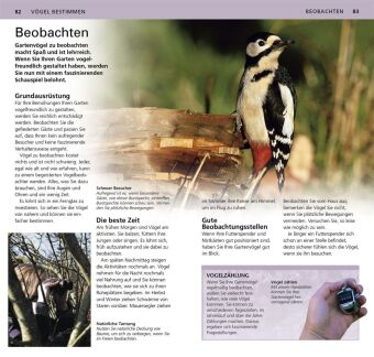 Gartenvögel beobachten und bestimmen