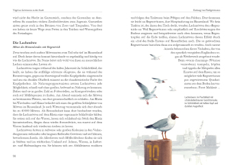 Vögel in der Stadt