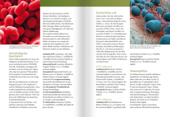 Grüne Antibiotika