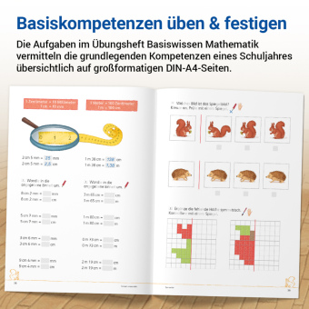 Das Übungsheft Basiswissen Mathematik.Bd.3