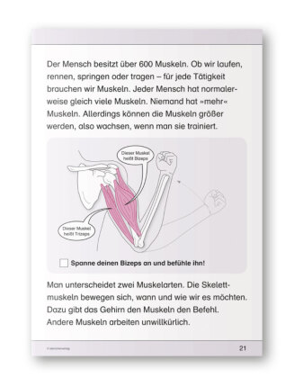 Ich kenne meinen Körper - Skelett, Muskeln und Wirbelsäule