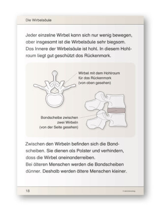 Ich kenne meinen Körper - Skelett, Muskeln und Wirbelsäule