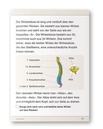 Ich kenne meinen Körper - Skelett, Muskeln und Wirbelsäule