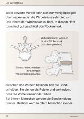 Ich kenne meinen Körper - Skelett, Muskeln und Wirbelsäule