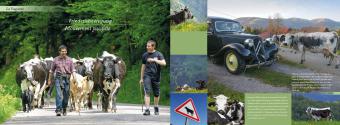 Elsass und Vogesen. Alsace et les Vosges