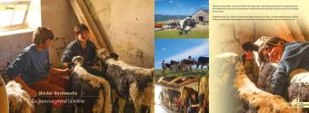 Elsass und Vogesen. Alsace et les Vosges