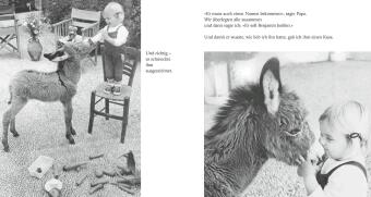 Mein Esel Benjamin (Pappbilderbuch)