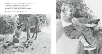 Mein Esel Benjamin (Pappbilderbuch)