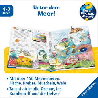Wieso? Weshalb? Warum? Band 27 - Wir entdecken Meerestiere