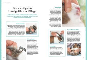 Liebenswerte Zwergkaninchen