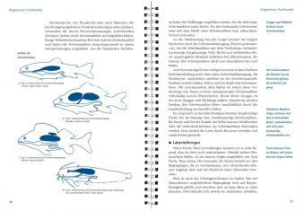 Arbeitsbuch Fischerprüfung