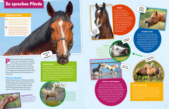 WAS IST WAS Pferde und Ponys
