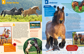 WAS IST WAS Pferde und Ponys