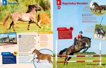 WAS IST WAS Pferde und Ponys