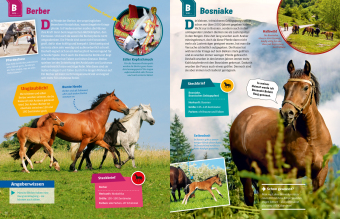 WAS IST WAS Pferde und Ponys