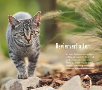300 Fragen zum Katzenverhalten