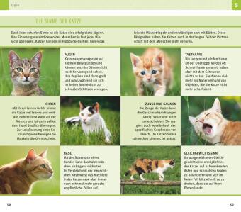 300 Fragen zum Katzenverhalten
