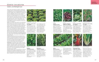 Das große GU Gartenbuch