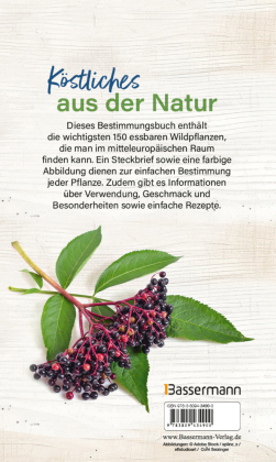 Essbare Kräuter & Wildpflanzen