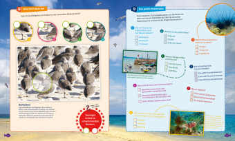 WAS IST WAS Rätseln und Stickern: Meer