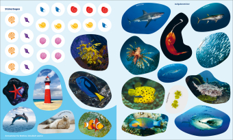 WAS IST WAS Rätseln und Stickern: Meer