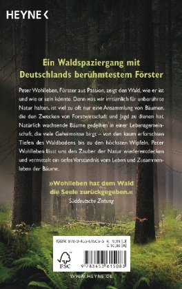 Der Wald