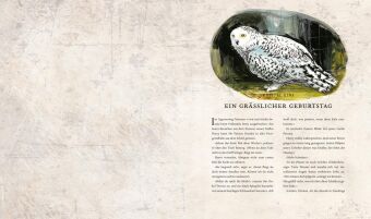 Harry Potter und die Kammer des Schreckens (Schmuckausgabe Harry Potter 2)