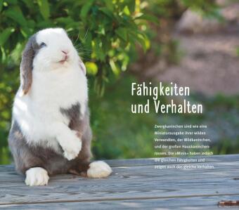 300 Fragen zum Zwergkaninchen
