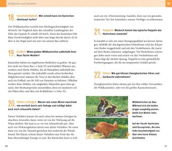 300 Fragen zum Zwergkaninchen