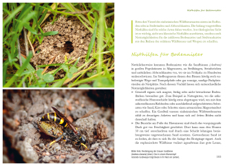 Fertig zum Einzug: Nisthilfen für Wildbienen