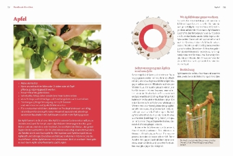 Handbuch Bio-Obst