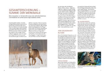 Die Altersansprache des Schalenwilds